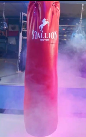 Stallion Boxing Heavy Bag - Unfilled